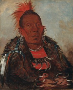 ワー・ロ・ネー・サー、サラウンダー、部族の長 作： George Catlin