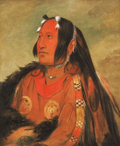 ウィ・ジュン・ジョン、鳩の卵の頭（光）、殊勲の若武者 作： George Catlin