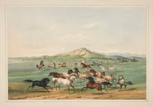 遊んでいる野生の馬、pl。 北米インディアンのポートフォリオから3人 作： George Catlin
