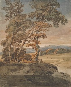 丘の中腹の小道の木々 作： George Chinnery