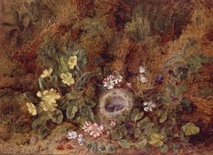 燕の巣と野の花のある静物画