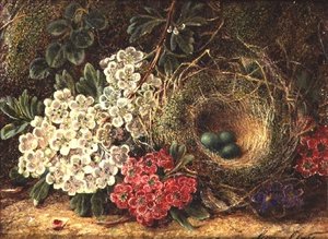 鳥の巣のある静物画 作： George Clare
