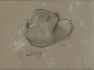 おそらく彫刻の後のライオンの頭 作： George Clausen