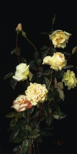 バラ、1878 作： George Cochran Lambdin