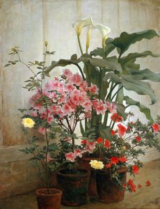 温室の側面、1870-80。 作： George Cochran Lambdin