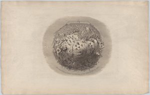 全世界が 1851 年の大博覧会を見に行く 作： George Cruikshank