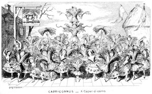 Capricornus-ケイパーオトウモロコシ、19世紀。 作： George Cruikshank