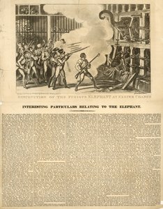 エクセターチェンジで激怒する象を破壊 作： George Cruikshank