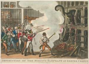 1826年のエクセターチェンジでの猛烈な象の破壊 作： George Cruikshank