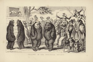 動物学会のフェロー 作： George Cruikshank