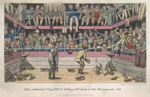 ピアース・イーガンによる、殺されるネズミ、「ロンドンでの生活など」 作： George Cruikshank