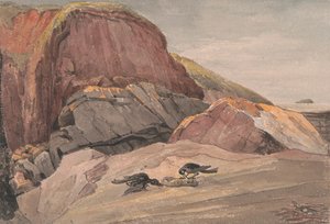 急勾配のホルム島があるウェストン スーパー メアの近く 作： George Cumberland