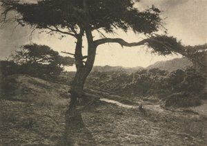 カメラワーク：ロングアーム 作： George Davison
