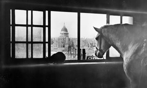 高層の厩舎からセント ポール大聖堂を見下ろす馬、ロンドン、1920 年代 作： George Davison Reid