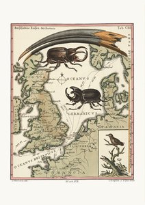イービスアイビス法案と最少のハチドリ、1749-73 作： George Edwards