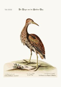 ハドソン湾のにがり、1749-73