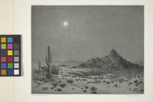 アリゾナの夜 作： George Elbert Burr
