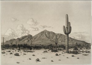  作： George Elbert Burr