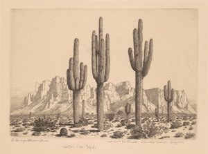 砂漠の歩哨、アパッチ トレイル、アリゾナ州 作： George Elbert Burr