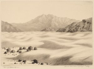 カリフォルニア州パーム スプリングス近くの砂丘 (第 2 位) 作： George Elbert Burr