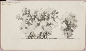 エルムズ--イングランド、イートン 作： George Elbert Burr