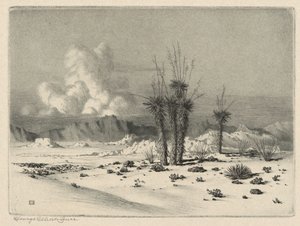 夕方、アリゾナ 作： George Elbert Burr