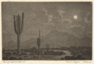 ムーンライト-フェニックス 作： George Elbert Burr