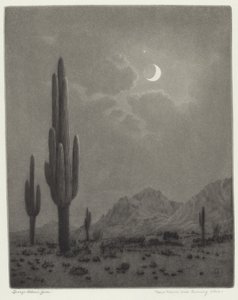 新月と宵の明星 作： George Elbert Burr
