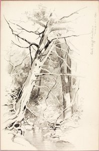 オーククリフ（ダラス 作： George Elbert Burr