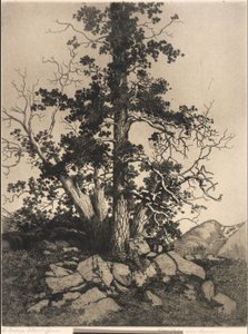  作： George Elbert Burr