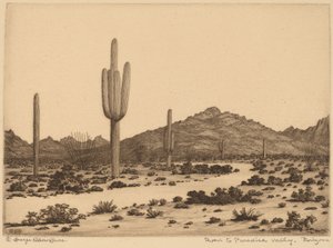 アリゾナ州パラダイス バレーへの道 作： George Elbert Burr