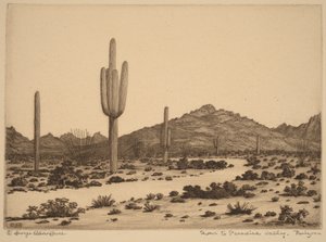  作： George Elbert Burr