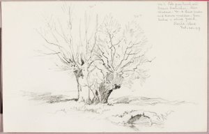 ロッシュ・ヴォー 作： George Elbert Burr