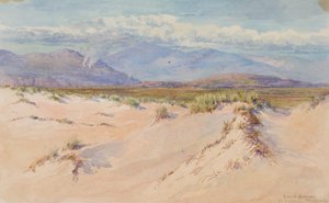 砂丘、ハーレック、北ウェールズ、1899 年。 作： George Elbert Burr