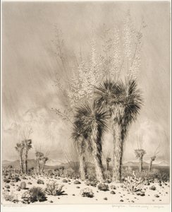  作： George Elbert Burr