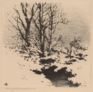 初雪 (no.2) 作： George Elbert Burr