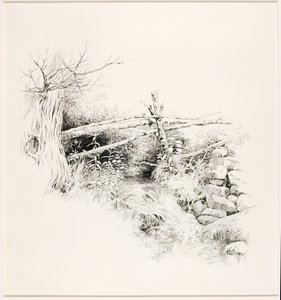 無題（森の小川） 作： George Elbert Burr