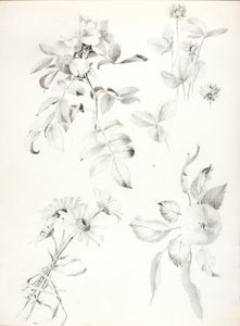 無題 作： George Elbert Burr