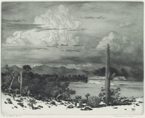 アリゾナ州ベルデ川 作： George Elbert Burr
