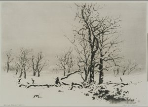  作： George Elbert Burr