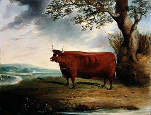 褐色の牛の肖像 作： George Fenn
