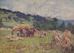 トウモロコシ畑、1910 作： George Franck Nicholls