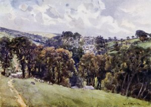 Camelford（カラーリトグラフ 作： George Franck Nicholls