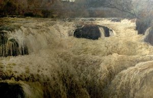 サーモンリープ、セナースフォールズ、カーディガンシャー、ウェールズ、1878 作： George Frank Miles
