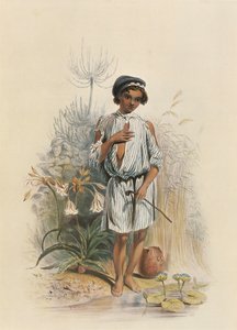 チャーリー、ナタールのハーフカーストの少年 作： George French Angas