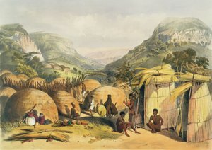 イナンダクラール、ナタール、プレート25、カフィルズイラストレイテッド、1849 作： George French Angas