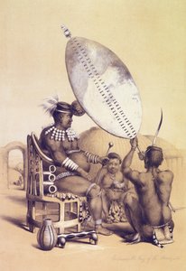 天国の王の根、1849 作： George French Angas