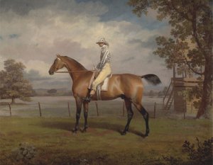 競走馬の肖像、おそらく変装、ハミルトン公の所有物、ジョッキーアップ 作： George Garrard