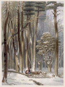 冬、アメリカ原生林のハーベイズシーンからの松林の障害者旅行者、1841年（手描きのアクアチント） 作： George Harvey