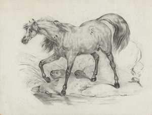 立っている馬、左側 作： George Hendrik Breitner